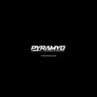 Logo for store: Pyramyd Air